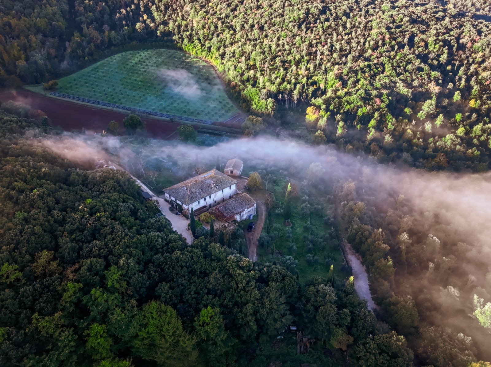 Aerial view of estate in misty landscape