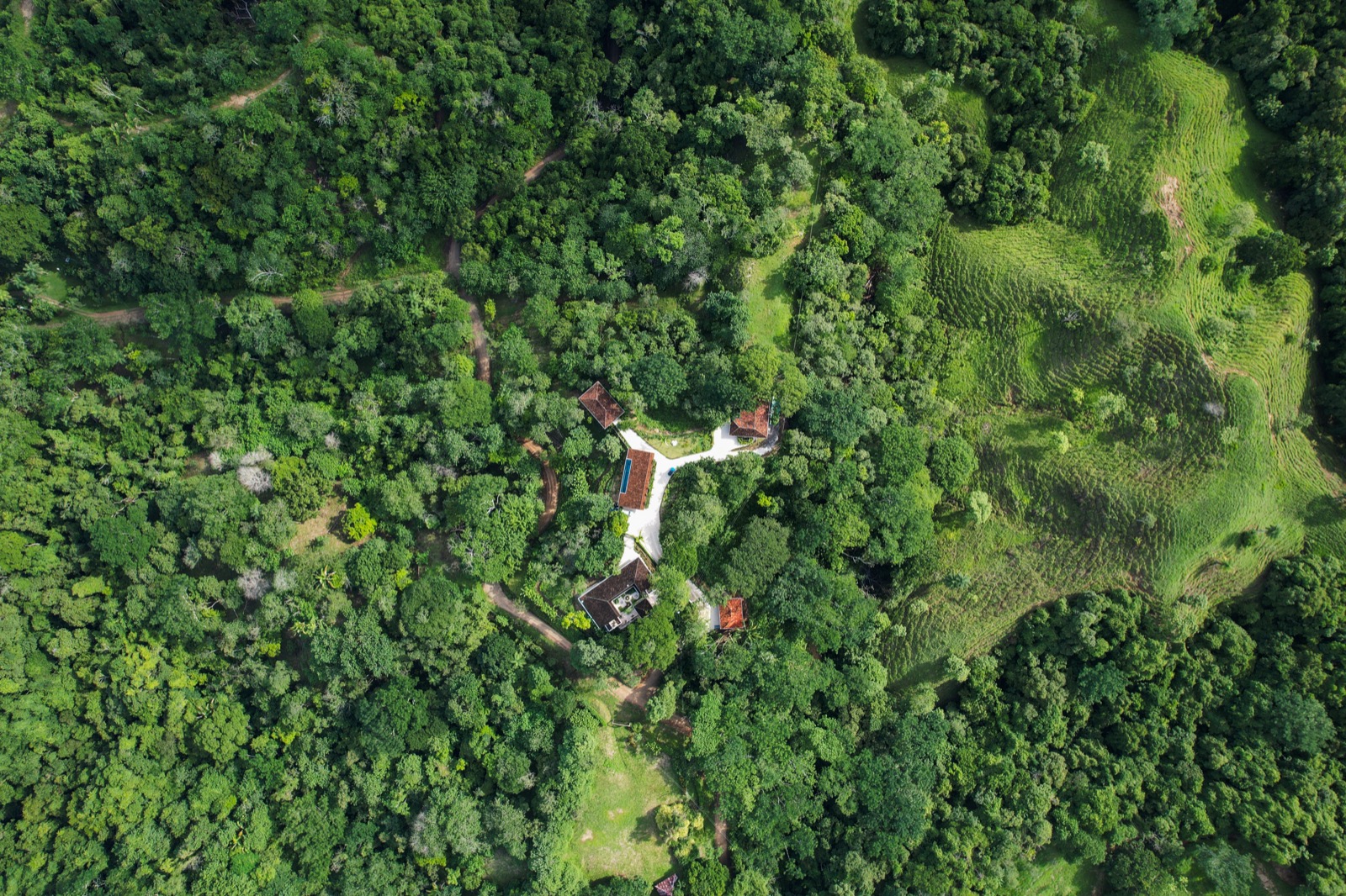 Aerial view of estate nestled in lush green jungle