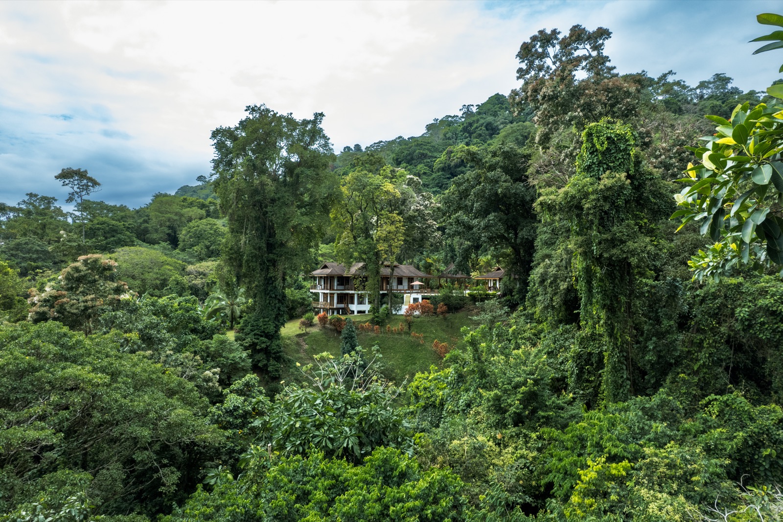 Aerial view of estate among tall tropical trees
