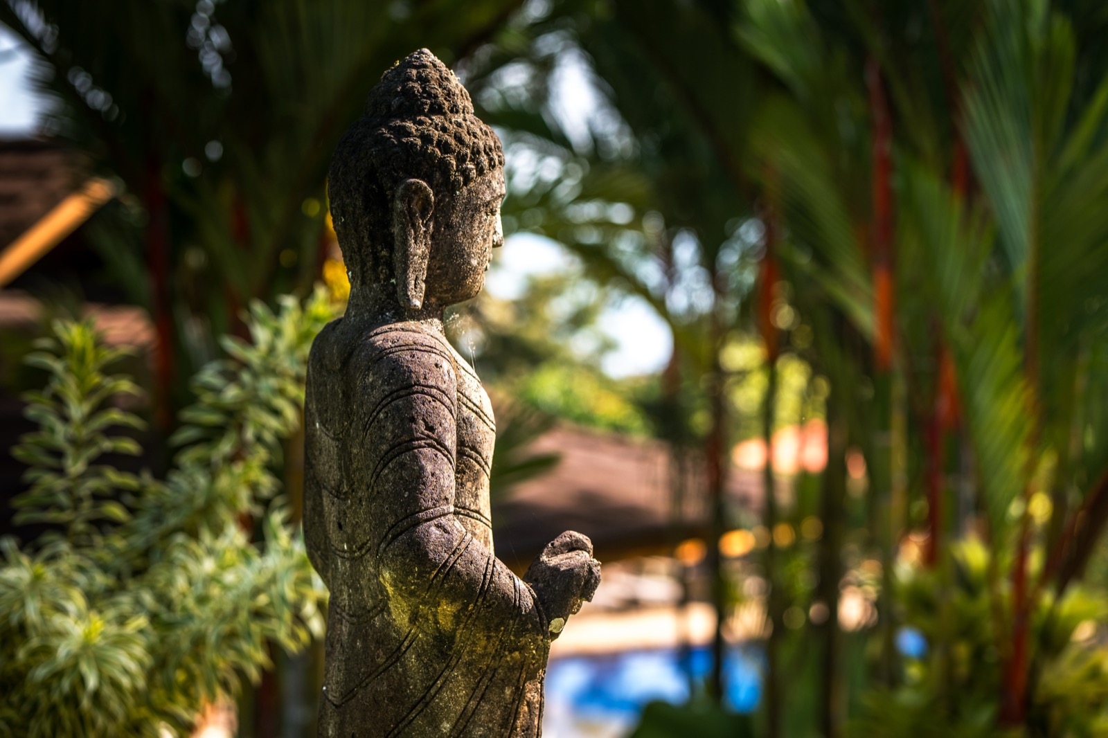 White building entrance with purple bougainvillea